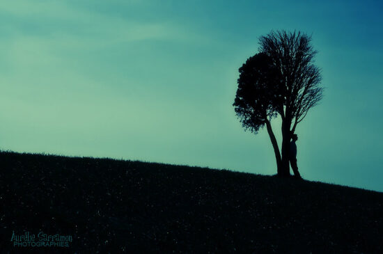 L'Homme et l'Arbre